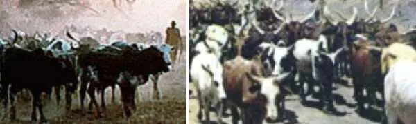 Но тем что она есть Нумидия стала благодаря коневодству Нумидийская лошадь - фото 369