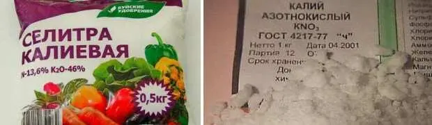 Наши жрецы используют её в храмах для огненных божественных чудес очень - фото 244