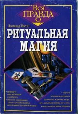 Дональд Тисон Ритуальная магия обложка книги
