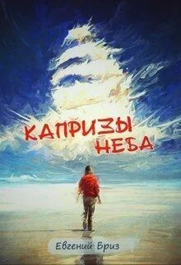 Евгений Бриз Капризы неба обложка книги