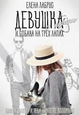 Елена Лабрус Девушка в шляпе и собака на трёх лапах обложка книги