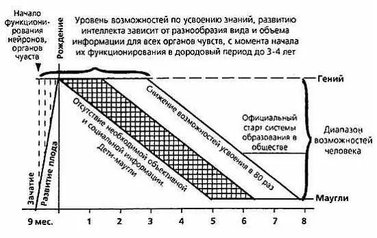 График возможностей развития интеллекта в пределах одной человеческой жизни - фото 13