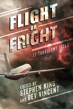 Амброз Бирс Flight or Fright: 17 Turbulent Tales обложка книги