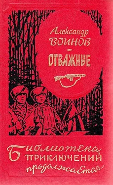 Александр Воинов Отважные [сборник: Золотые динары • Отважные • Иностранка] обложка книги