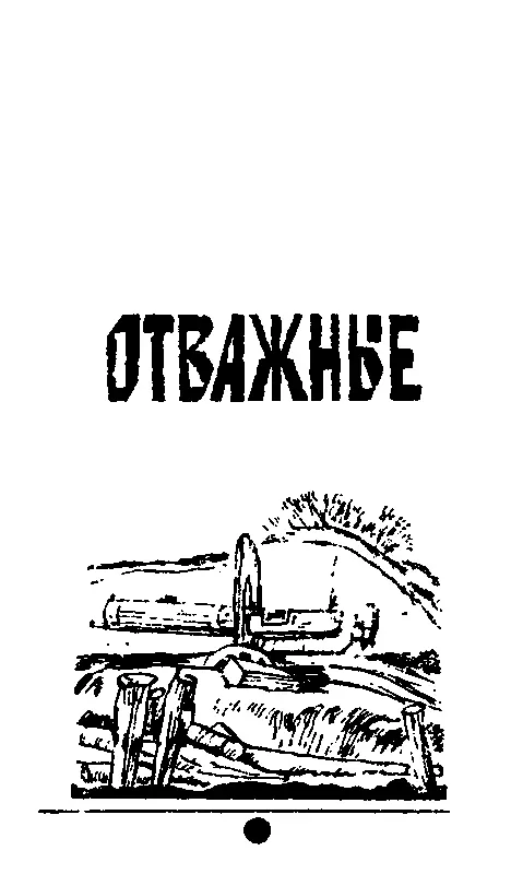 Отважные сборник Золотые динары Отважные Иностранка - фото 9