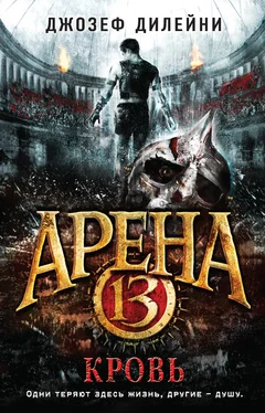 Джозеф Дилейни Арена 13. Кровь [litres]