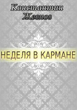 Константин Жевнов Неделя в кармане [CИ] обложка книги