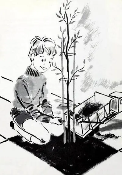 True it was an awfully little tree It was such a small and skinny tree that - фото 16