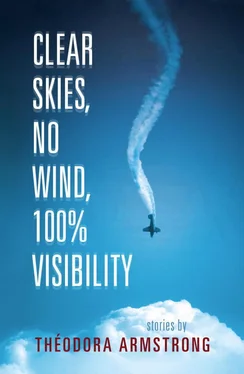 Théodora Armstrong Clear Skies, No Wind, 100% Visibility обложка книги