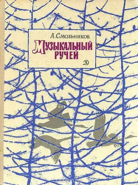 Алексей Смольников Музыкальный ручей обложка книги