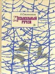 Алексей Смольников - Музыкальный ручей