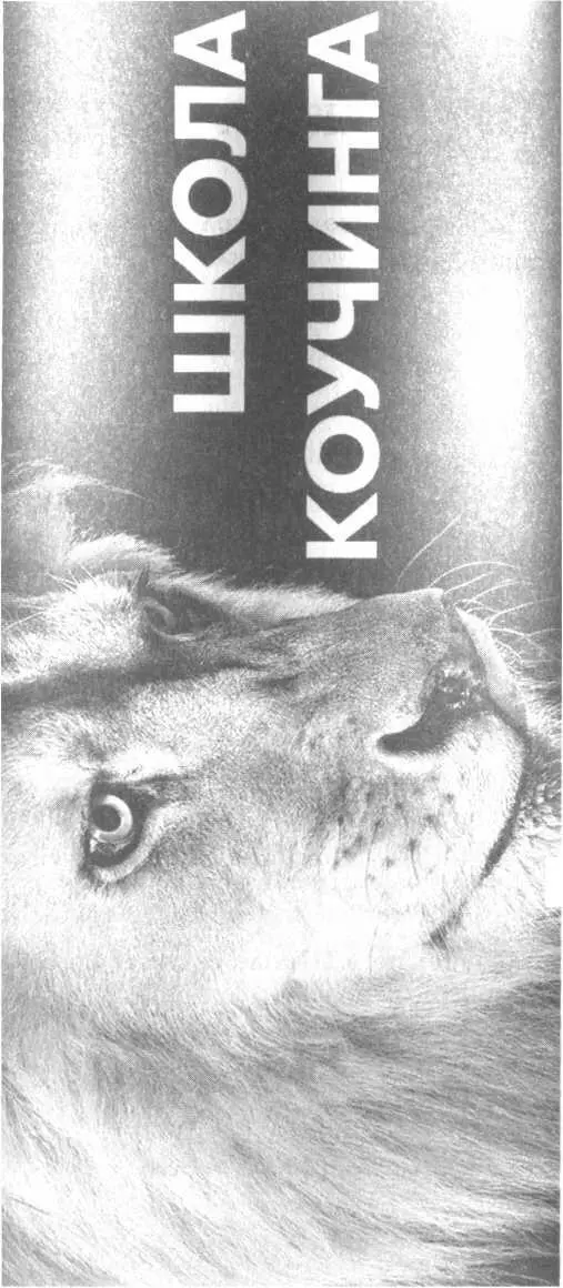 Главная особенность обучения вы изучаете не только классический коучинг но и - фото 16