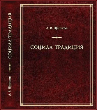 Александр Щипков Социал-­традиция обложка книги