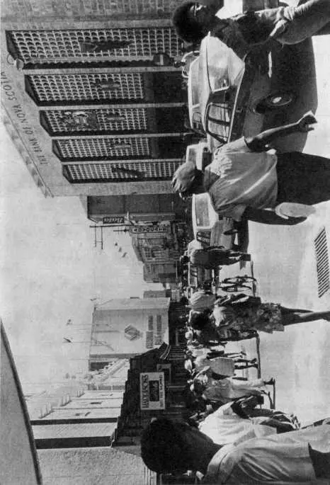 Центральная улица Бриджтауна столицы Барбадоса целиком оккупирована - фото 25