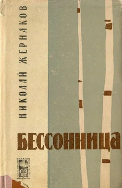 Николаи Жернаков Бессонница обложка книги