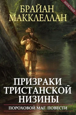 Брайан Макклеллан Призраки Тристанской низины обложка книги