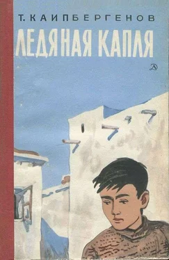 Тулепберген Каипбергенов Ледяная капля обложка книги