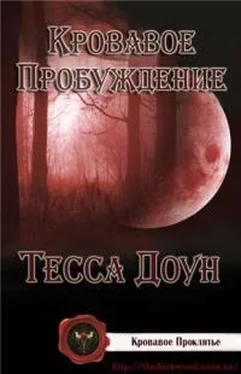 Тесса Доун Кровавое пробуждение обложка книги