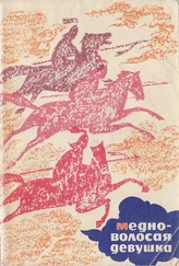 Сост Марк Ватагин - Медноволосая девушка. Калмыцкие народные сказки