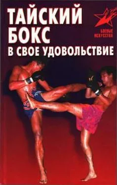 Владимир Шехов Тайский бокс в своё удовольствие обложка книги