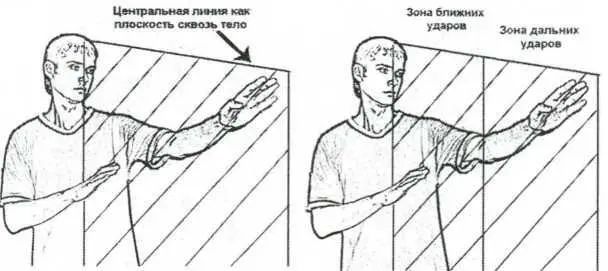 Рис 24 Центральная линия и зоны нанесения ударов Также как и блоки удары - фото 37
