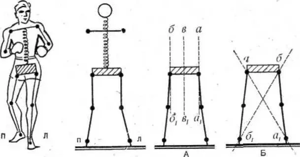 Рис 1 Оси вращения тела боксера Поэтому в бою боксер должен - фото 5