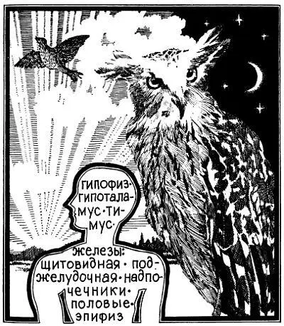 Как помолодели в наши дни болезни все чаще сетуем мы И главное как их - фото 5