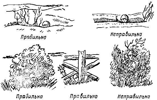 Рис 179 Выбор и занятие места для наблюдения в кустарнике и за другими - фото 207