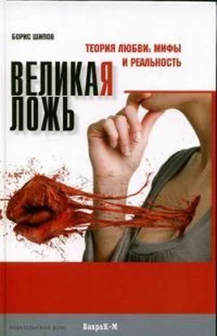 Борис Шипов Великая ложь. Теория любви: мифы и реальность. обложка книги