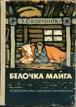 Эдуард Салениек Белочка Майга обложка книги