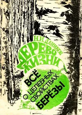 Николай Даников Дерево жизни. Всё о целебных свойствах березы обложка книги