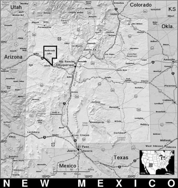 New Mexico The Ambrosia Lake uranium mining district is shown in the upper - фото 2