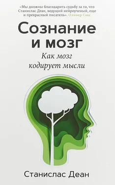 Станислас Деан Сознание и мозг. Как мозг кодирует мысли обложка книги