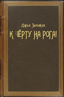 Дарья Земская К чёрту на рога! обложка книги