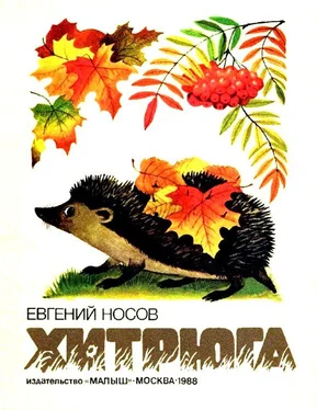 Евгений Носов Хитрюга обложка книги