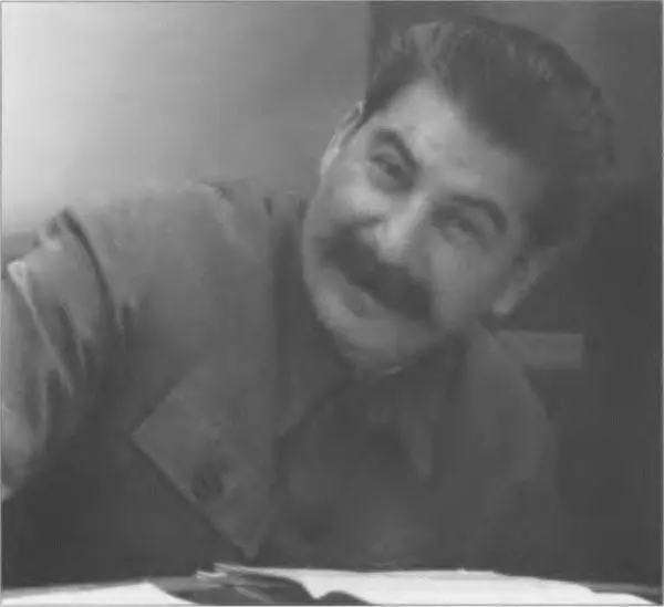 Отец Тайна смерти И В Сталина и неизвестные документы об известных событиях - фото 39