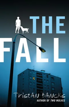 Tristan Bancks The Fall обложка книги