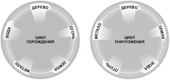 Цикл уничтожения В противоположность циклу порождения существует цикл - фото 9