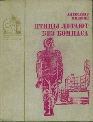 Александр Мишкин - Птицы летают без компаса. В небе дорог много [Повести]