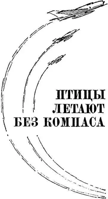 ПТИЦЫ ЛЕТАЮТ БЕЗ КОМПАСА 1 Что и говорить я очень обрадовался когда меня - фото 4