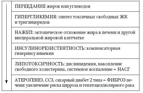 Рис 28 Основные этапы патогенеза НАЖБП Разрушение ПНЖК фосфолипидов нарушает - фото 31