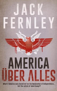 Jack Fernley America Über Alles обложка книги