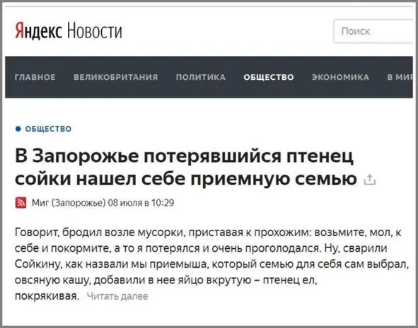 Детство сияющей птицы Истории из жизни птенца сойки - фото 83