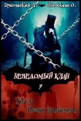 Олеся Шалюкова - Цепи прошлого (СИ)