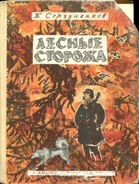 Борис Сергуненков Лесные сторожа [Повесть и рассказы] обложка книги