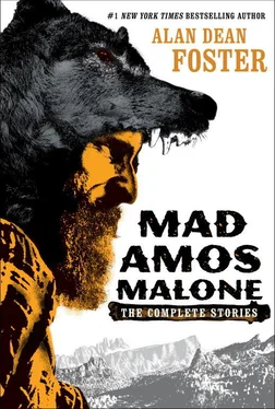 Алан Дин Фостер Mad Amos Malone обложка книги