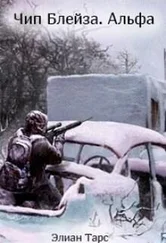 Элиан Тарс - Чип Блейза. Альфа