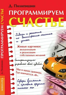 Денис Пилипишин Программируем счастье обложка книги