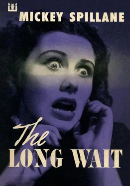 Микки Спиллейн The Long Wait обложка книги