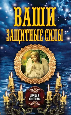 Антонина Соколова Ваши защитные силы обложка книги